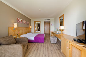 Woonvoorbeeld standaardkamer