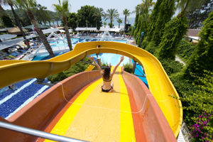 Sea Life Buket Beach