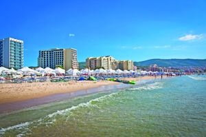 Bingo Sunny Beach 3*