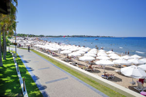 Acanthus Cennet Barut Collection