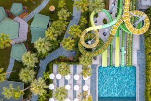 Leodikya Kirman Premium