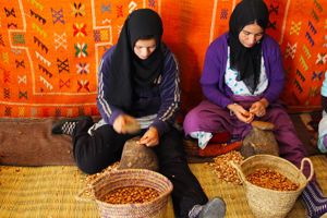 Voyage excursions Maroc 3*