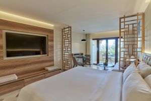 Woonvoorbeeld superior suite