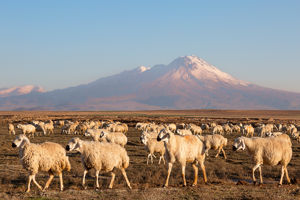 Rondreis Cappadocië & Titan Garden