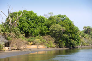 Excursiereis Gambia 3*