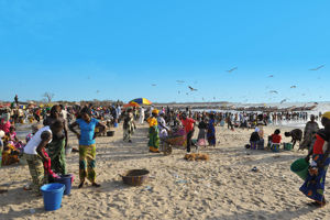 Excursiereis Gambia 3*