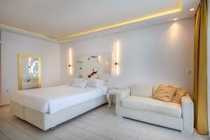 Woonvoorbeeld Superior deluxe swim up