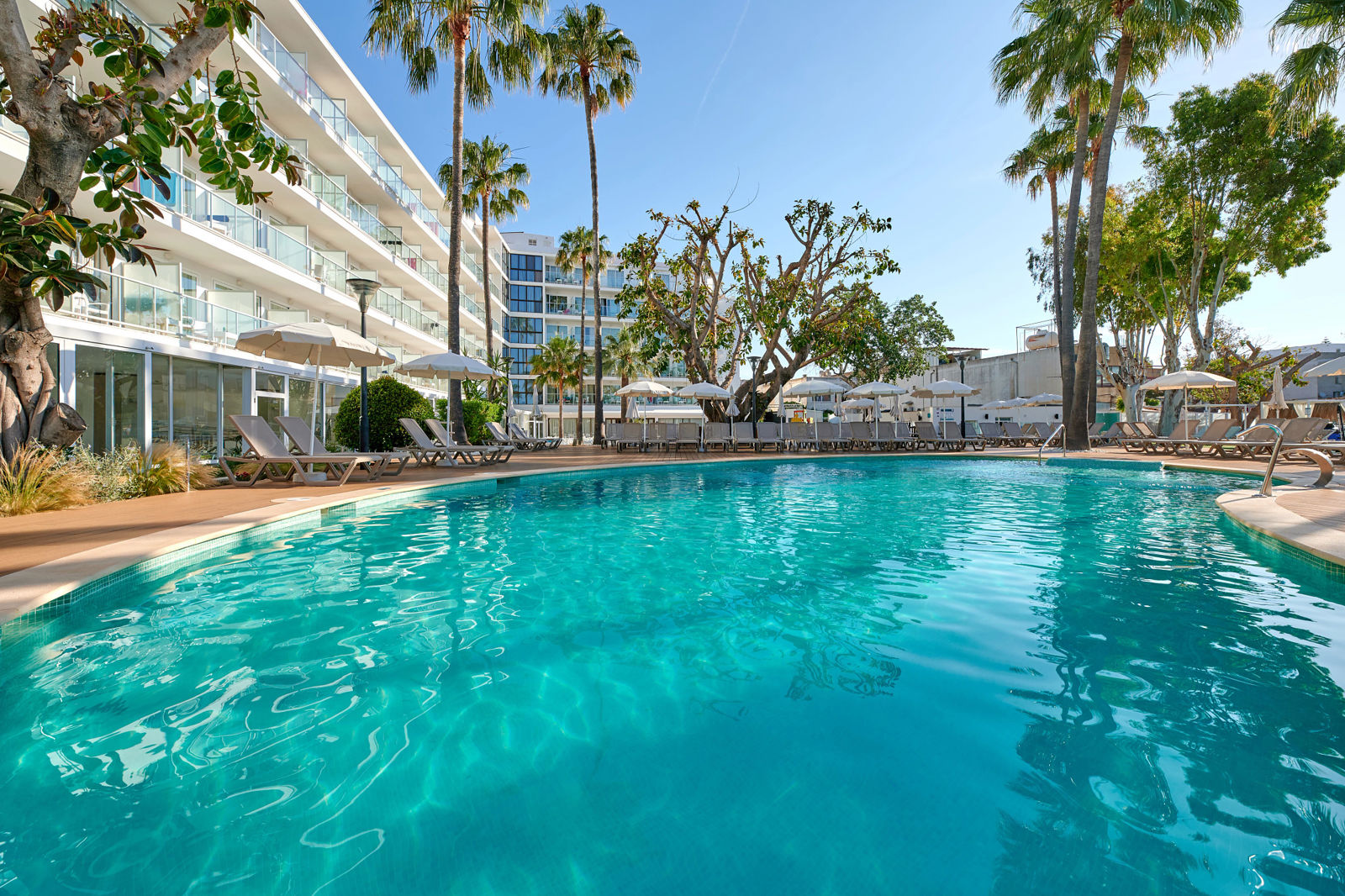 Alua Boccaccio slide 4