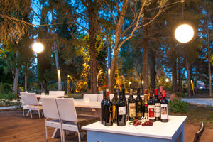 Belvedere Luxury Suites