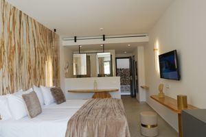 Woonvoorbeeld junior suite met prive zwembad