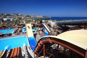 Cactus Mirage Family Club