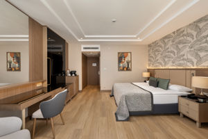 Woonvoorbeeld superiorkamer swim-up nieuwbouw