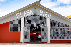 Plasa Bieu