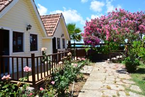 Nova Beach Bungalows