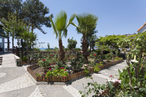 Nova Beach Bungalows