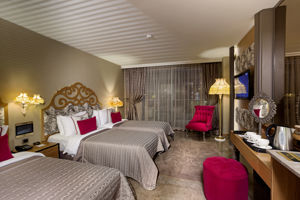 Woonvoorbeeld superiorkamer