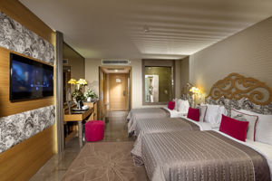 Woonvoorbeeld superiorkamer