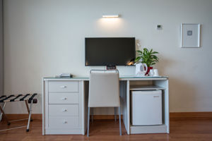 Gran Hotel Costa del Sol