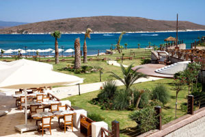 Fly & Go Premier Solto