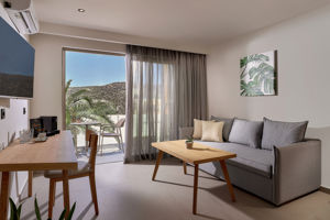 Woonvoorbeeld superiorkamer