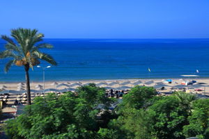 Club Cactus Paradise