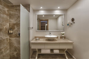 Delphin Botanik Platinum