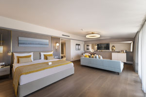 Arum Barut Collection