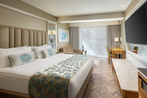 Woonvoorbeeld Standaardkamer landzicht