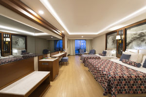 Woonvoorbeeld standaardkamer