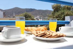 Woonvoorbeeld 2-kamerappartement met landzicht