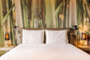 Saccharum Resort & Spa