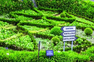 Fly & Drive Madère Coloré