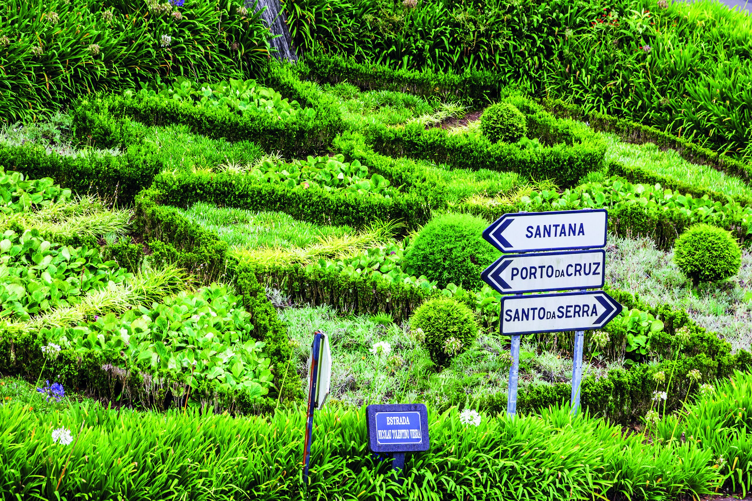 Fly & Drive Charmant Madeira