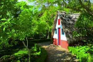 Fly & Drive Madère Charmant