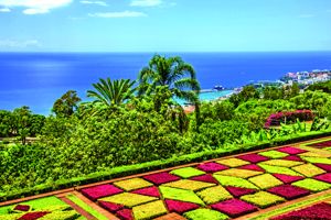 Fly & Drive Madère Charmant