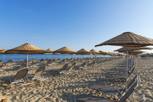 Flora Gardens Ephesus