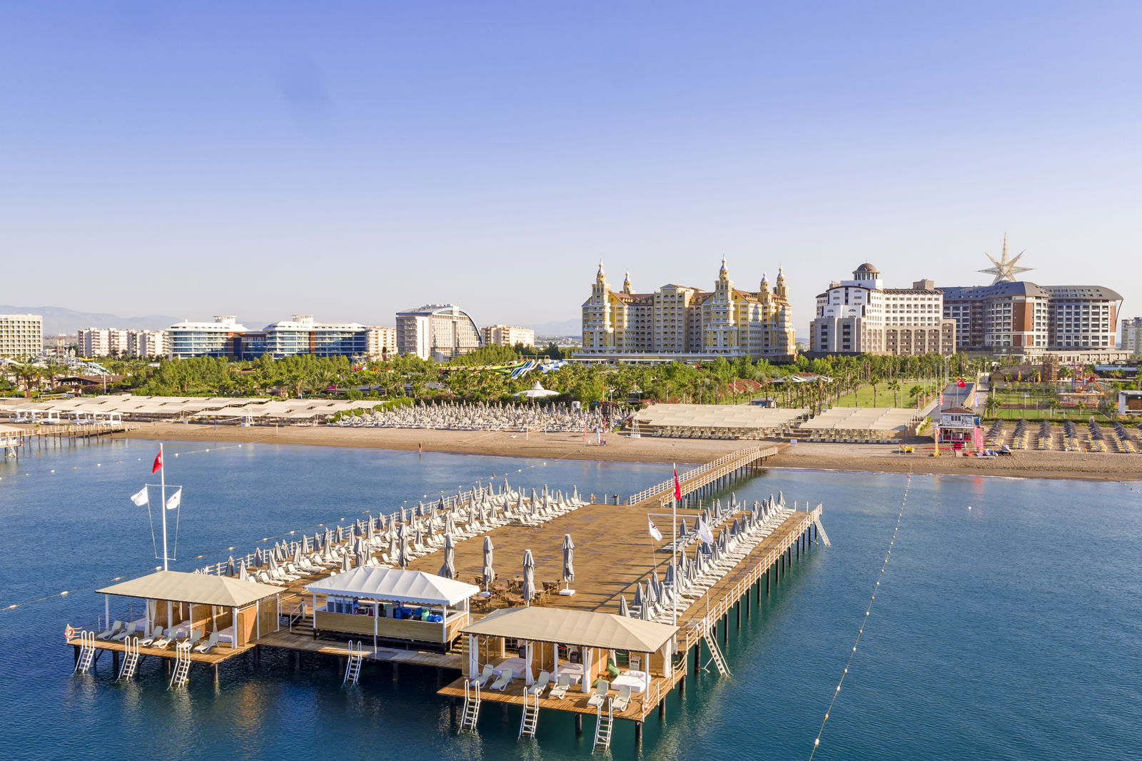 Royal Seginus slide 2