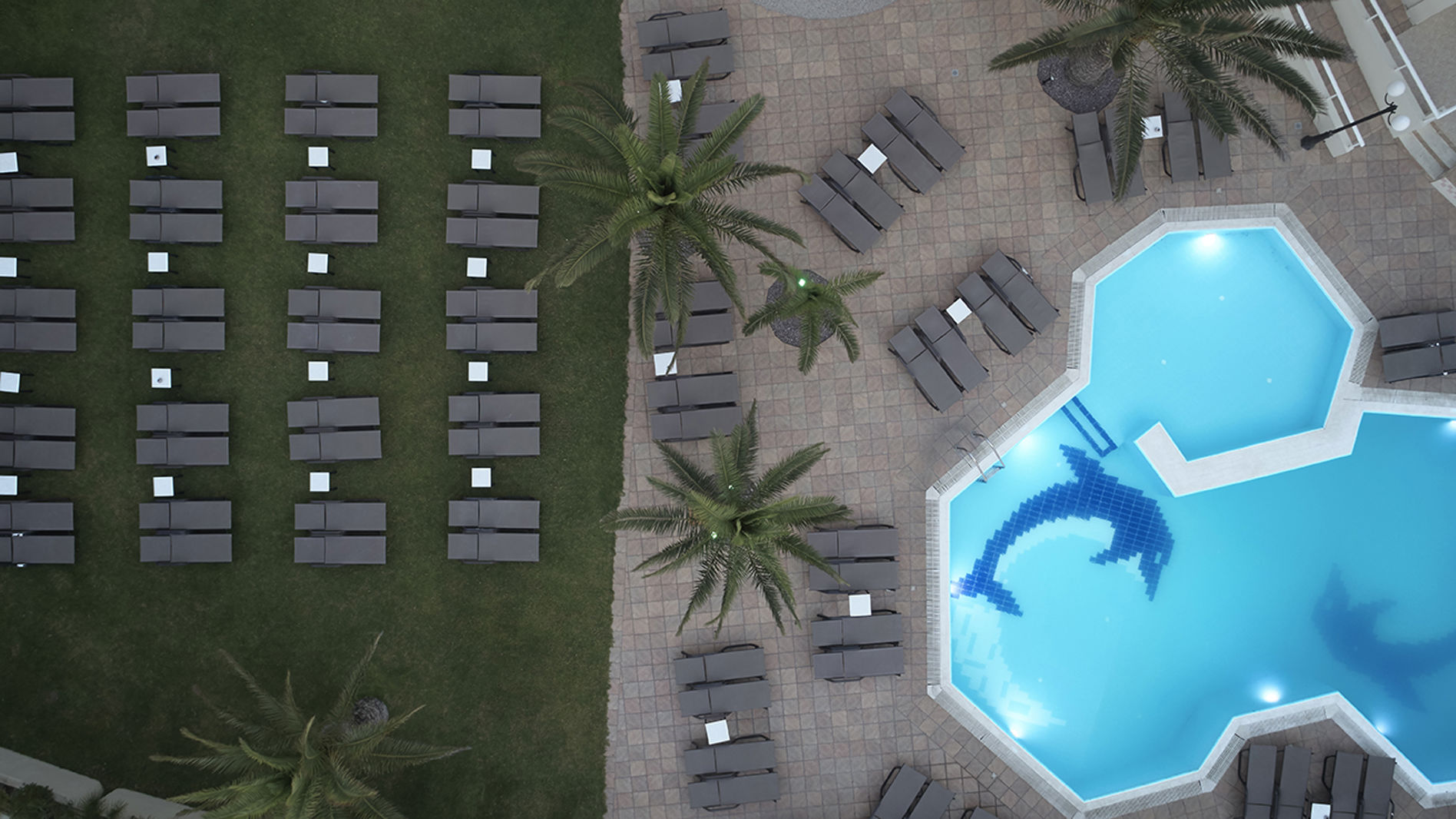 Cactus Hotel billede 4