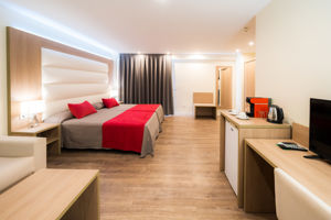 Woonvoorbeeld premiumkamer