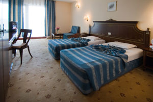 Woonvoorbeeld standaardkamer