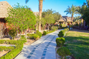 Woonvoorbeeld bungalow tuinzicht