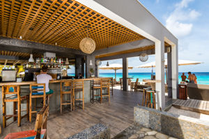 Bar - Club Tropicana