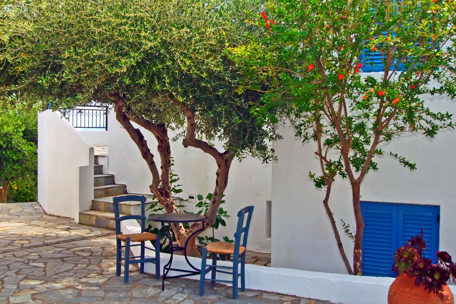 Palatia Village - billede 2