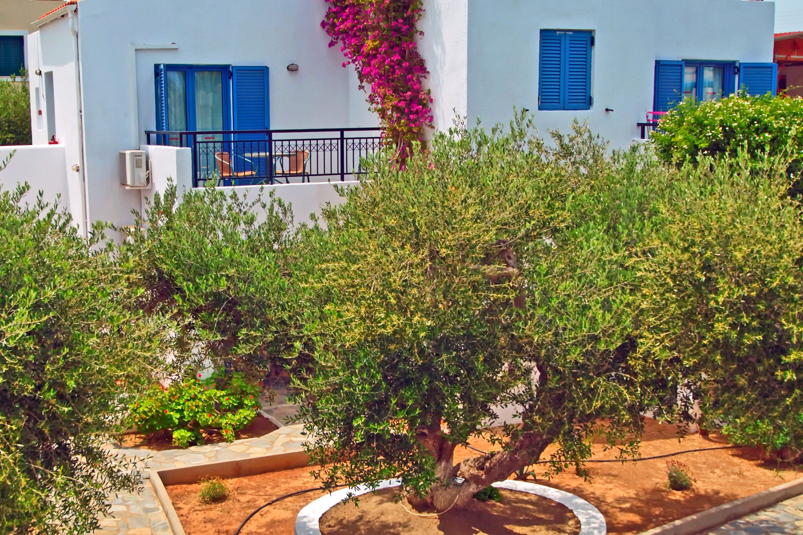 Palatia Village - billede 5