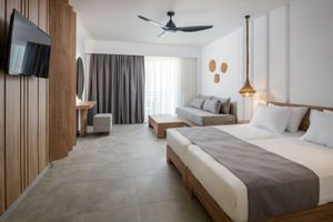 Woonvoorbeeld superior junior suite