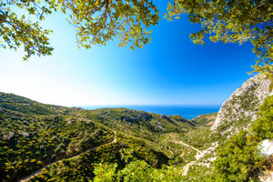 Excursiereis Samos 3*