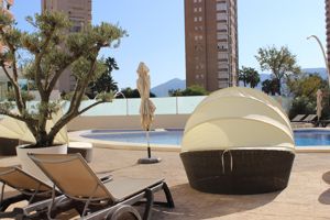 Flamingo Beach Resort