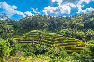 Rondreis Java & Bali