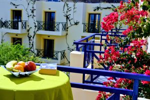 Woonvoorbeeld superior studio