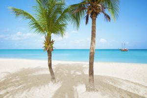 Startpakket Gold Coast